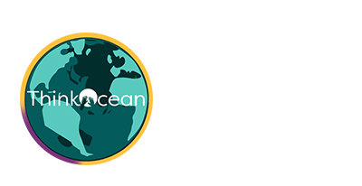 Think Ocean Logo